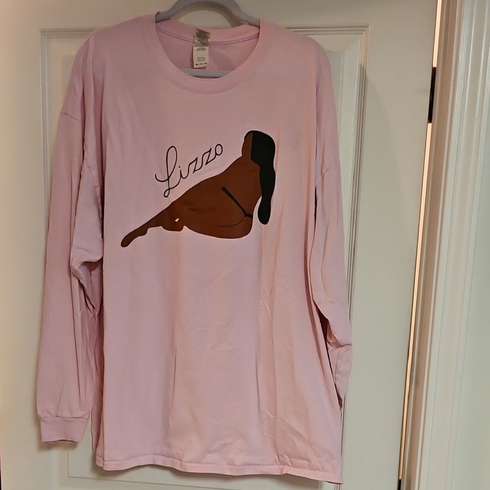 🎉HP🎉 Lizzo Pink Gildan Tee